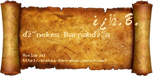 Énekes Barnabás névjegykártya